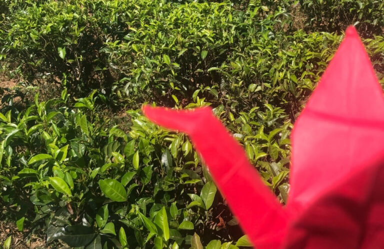 rownowaga.com.pl_blog1