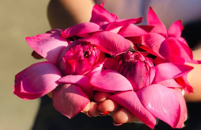 ownowaga.com.pl_blog2